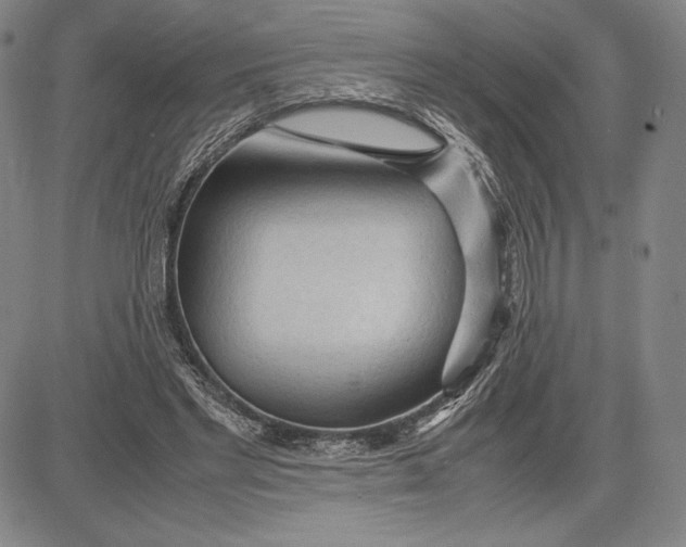 X0000083620493200703051613