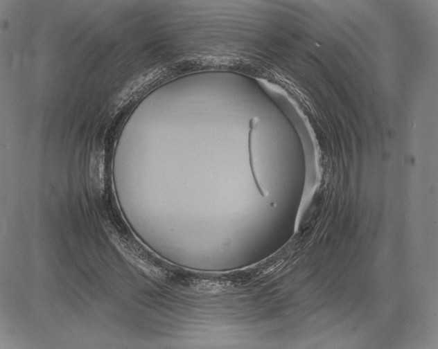 X0000083620494200703051613