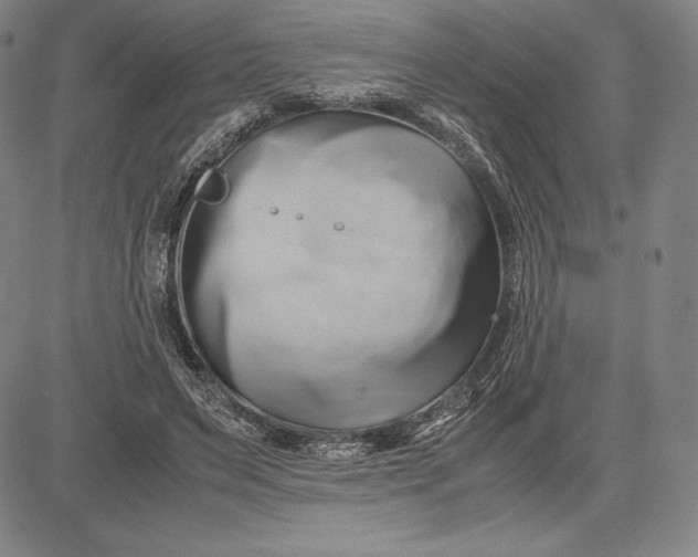 X0000083620495200703051613