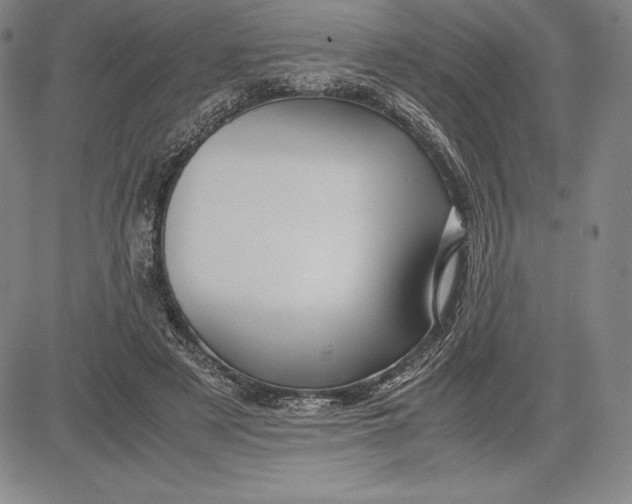 X0000083620497200703051613