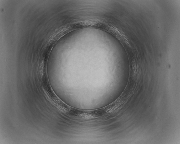 X0000083620498200703051613