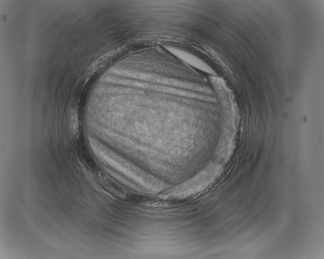 X0000083620500200703051613