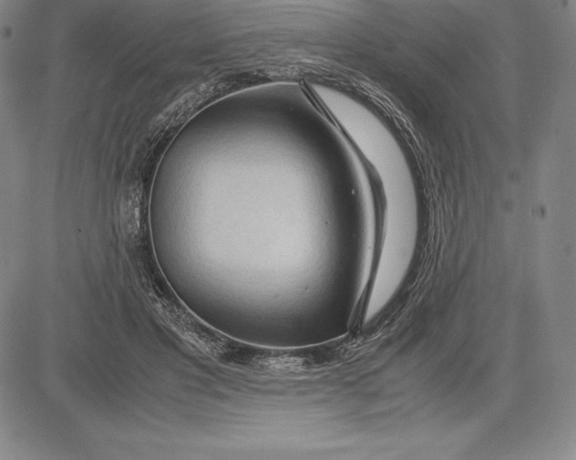 X0000083620501200703051613