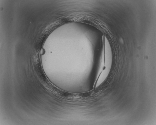 X0000083620503200703051613