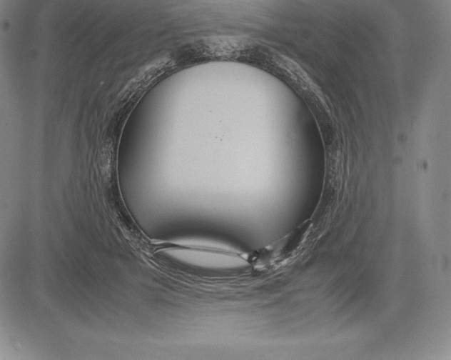 X0000083620505200703051613