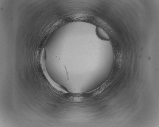 X0000083620506200703051613