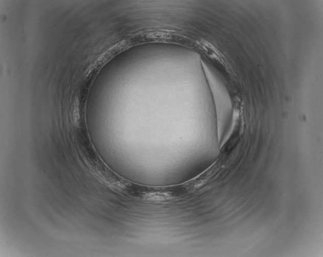 X0000083620508200703051613