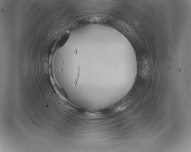 X0000083620510200703051613