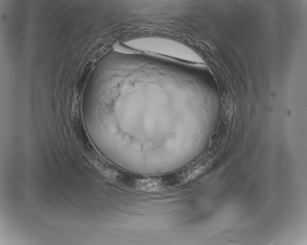 X0000083620511200703051613