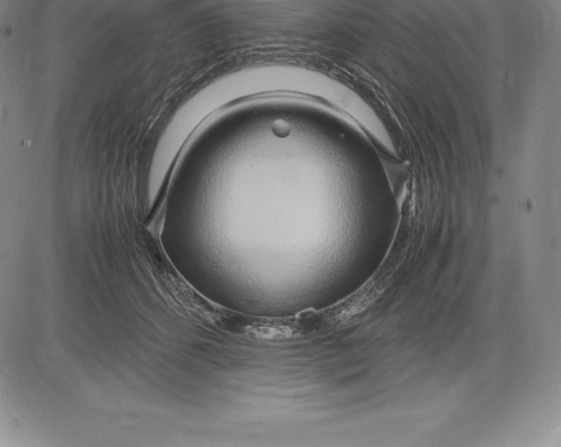 X0000083620512200703051613