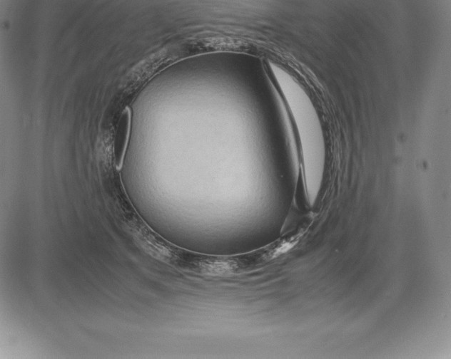 X0000083620513200703051613