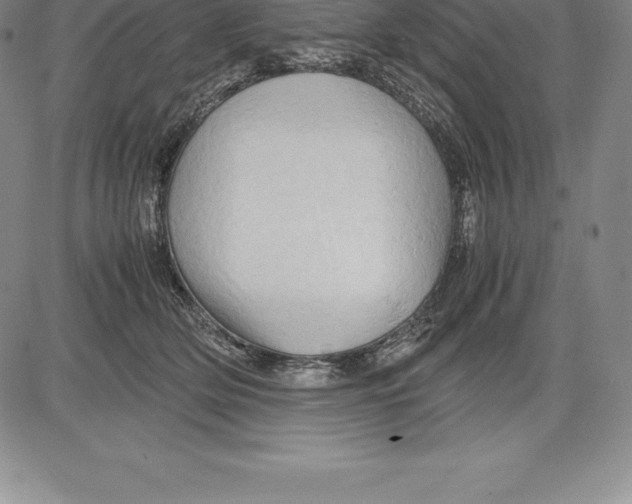 X0000083620514200703051613