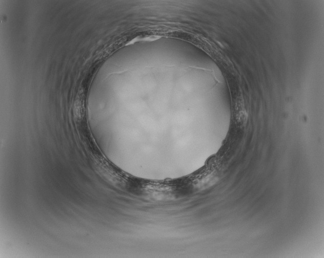 X0000083620515200703051613