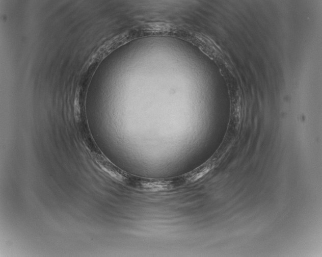 X0000083620516200703051612