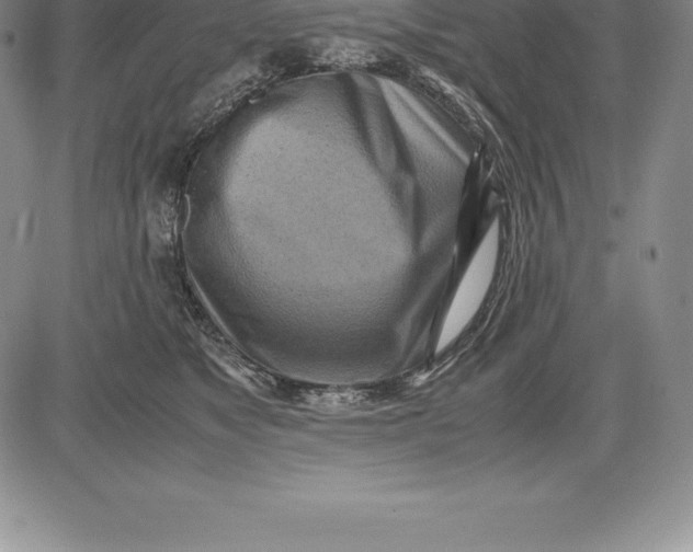 X0000083620517200703051612