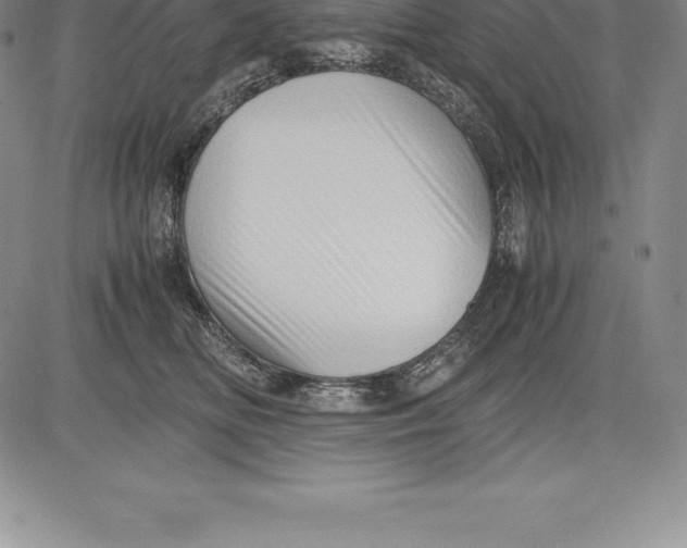 X0000083620518200703051612