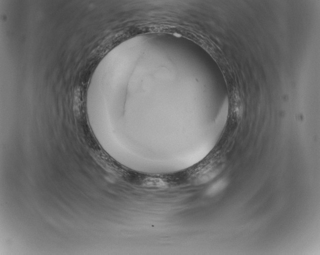 X0000083620519200703051612