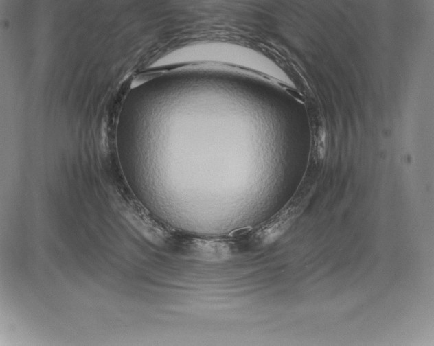 X0000083620520200703051612