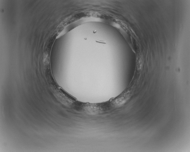 X0000083620521200703051612