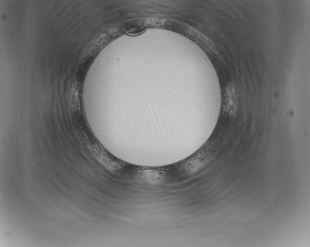 X0000083620522200703051612