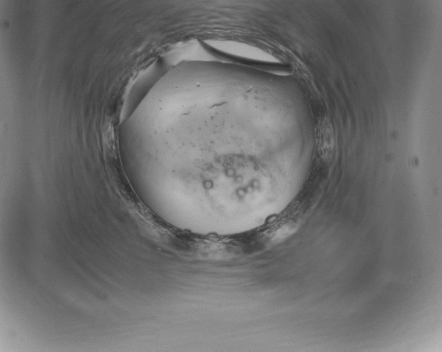 X0000083620523200703051612