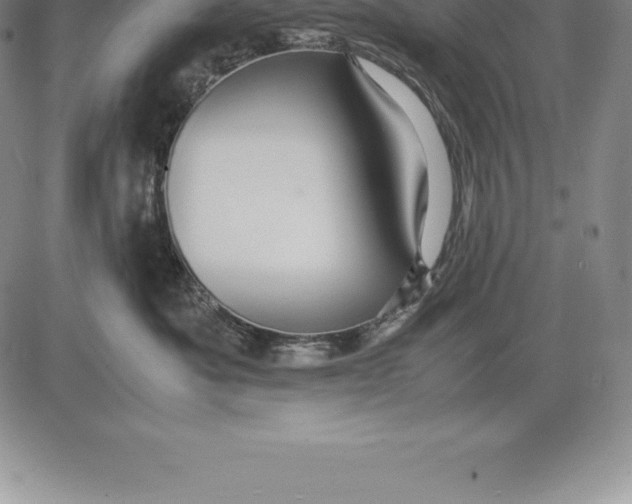 X0000083620525200703051612