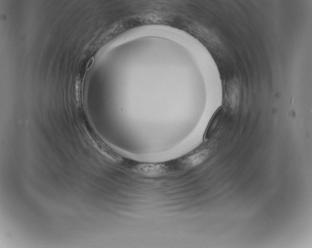 X0000083620526200703051612