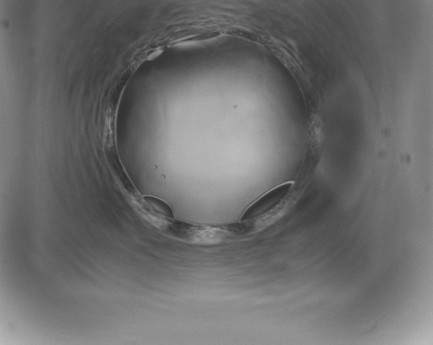 X0000083620527200703051612