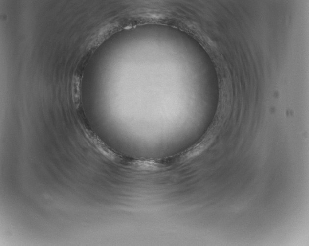 X0000083620528200703051612