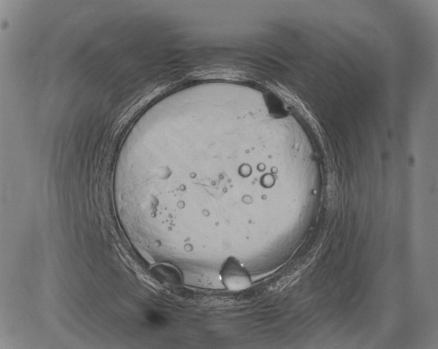 X0000083620529200703051611