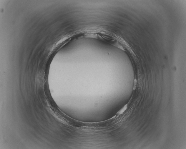 X0000083620530200703051612