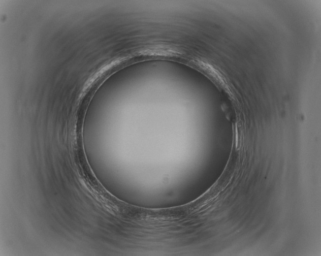 X0000083620531200703051612