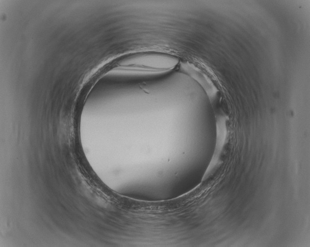 X0000083620532200703051612