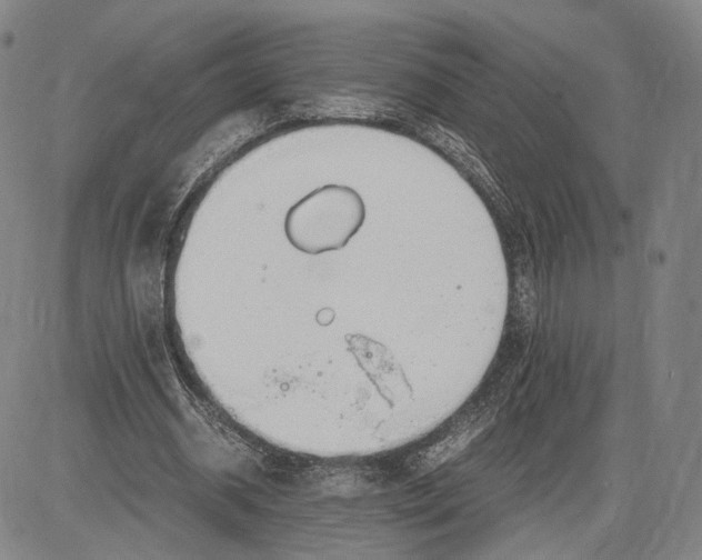 X0000083620534200703051612