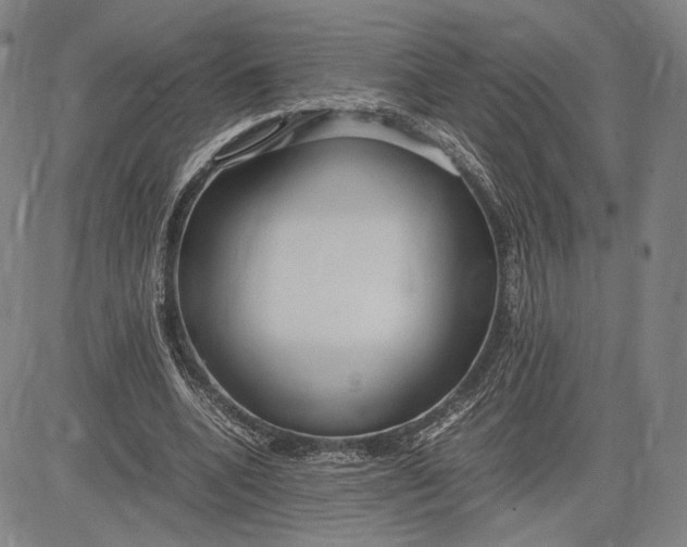 X0000083620536200703051612