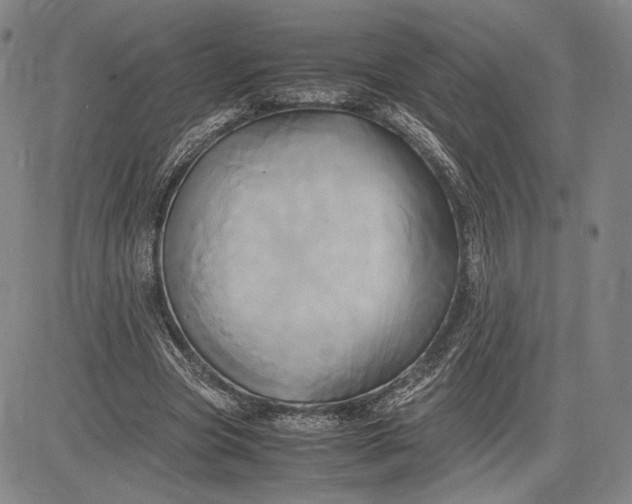 X0000083620537200703051612