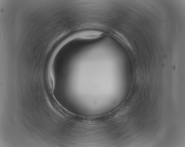 X0000083620538200703051612