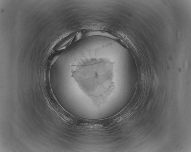 X0000083620539200703051612