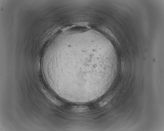 X0000083620541200703051612