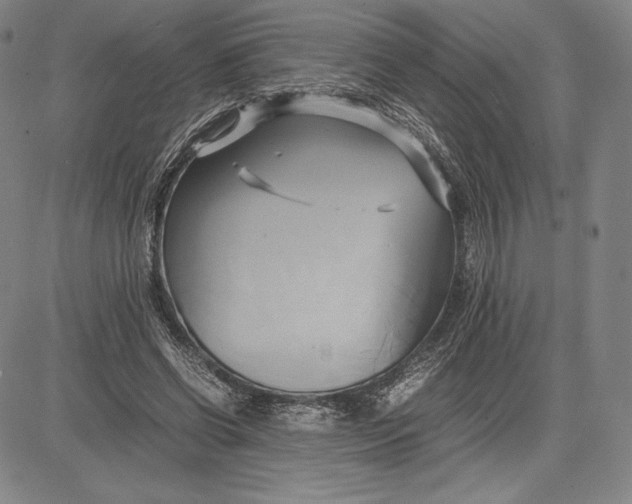 X0000083620542200703051612