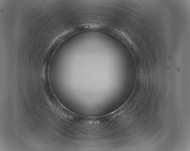 X0000083620543200703051612