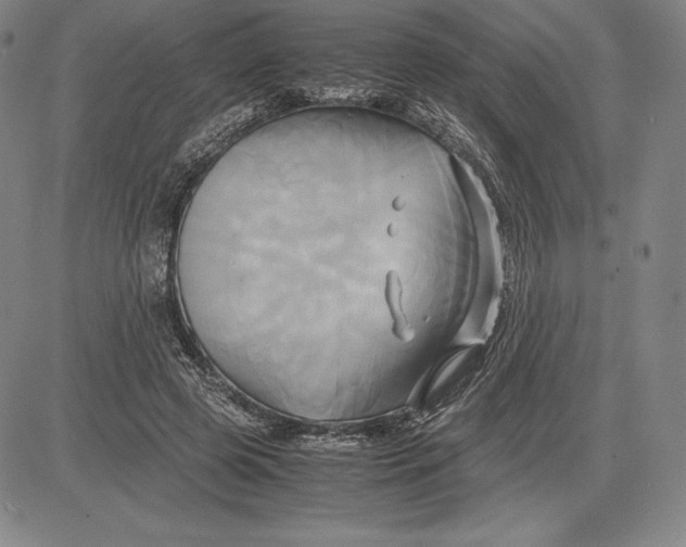 X0000083620545200703051612