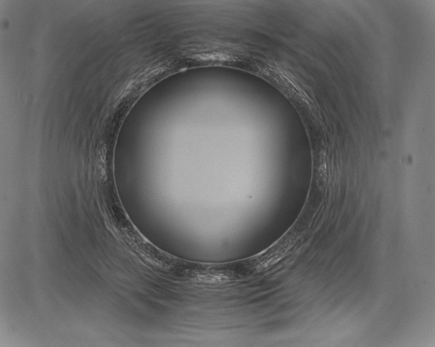 X0000083620547200703051612