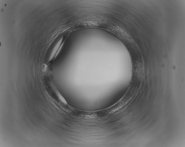 X0000083620548200703051612