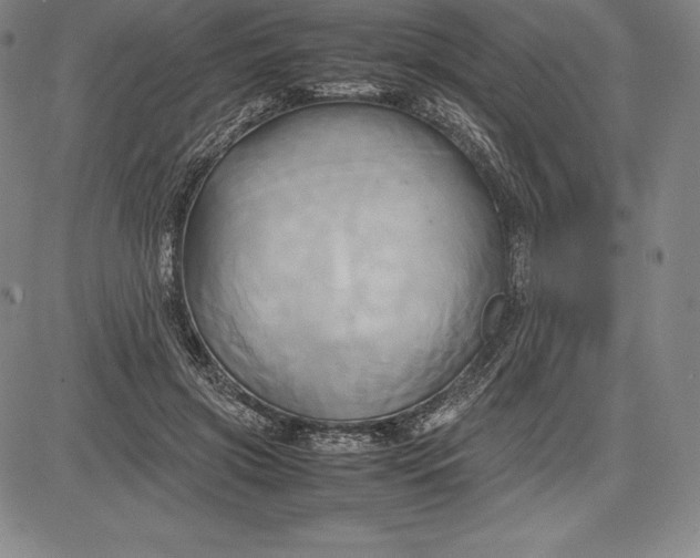 X0000083620549200703051612