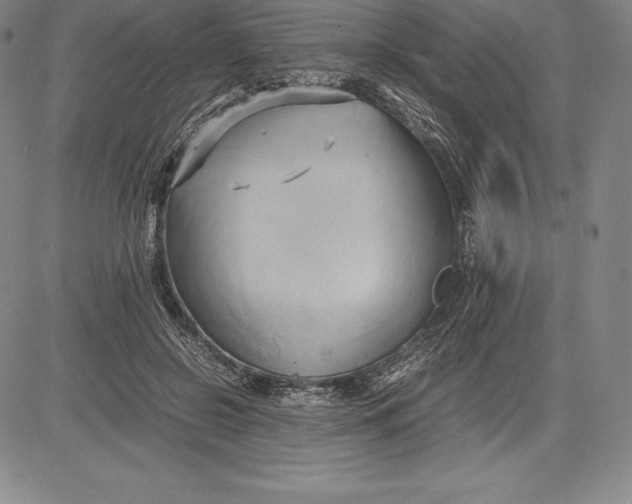 X0000083620550200703051612