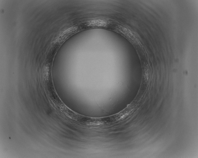 X0000083620551200703051612