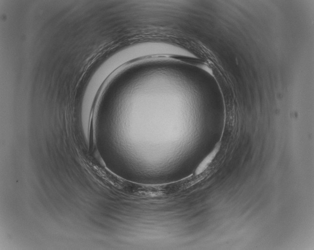 X0000083620552200703051612