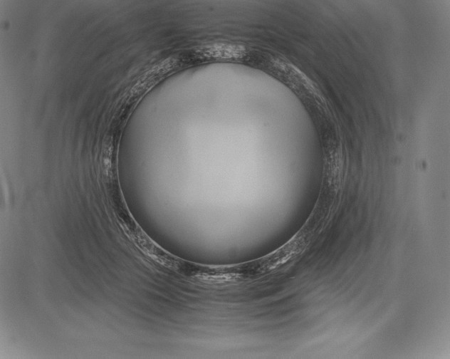 X0000083620553200703051612