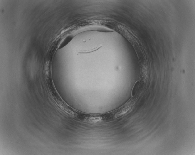 X0000083620554200703051612